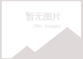 宁陕县惜雪建筑有限公司